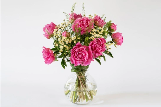 Super-Complex-Image-Editing_Before